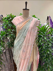 Multicolor Embroidred Organza Saree