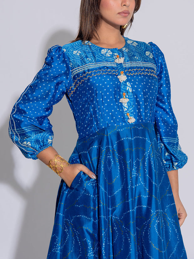 Blue Vasansi Silk Printed Anarkali Gown