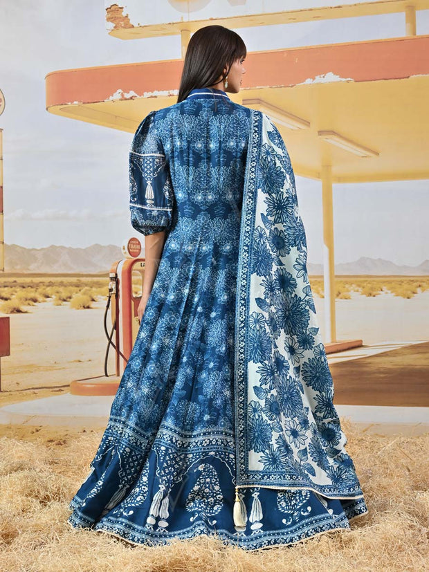 Blue Vasansi Silk Printed Anarkali Gown