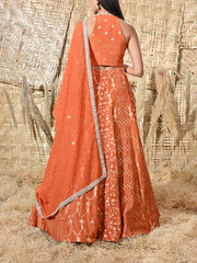 Orange Embroidered Banarasi Silk Lehenga Set