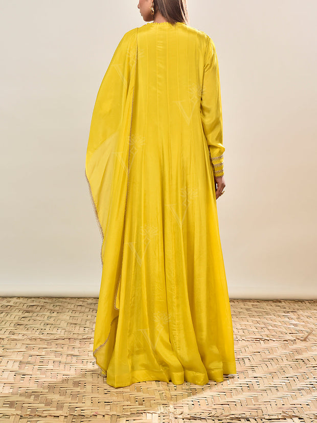 Yellow Embroidered Wrinkle Crepe Gown