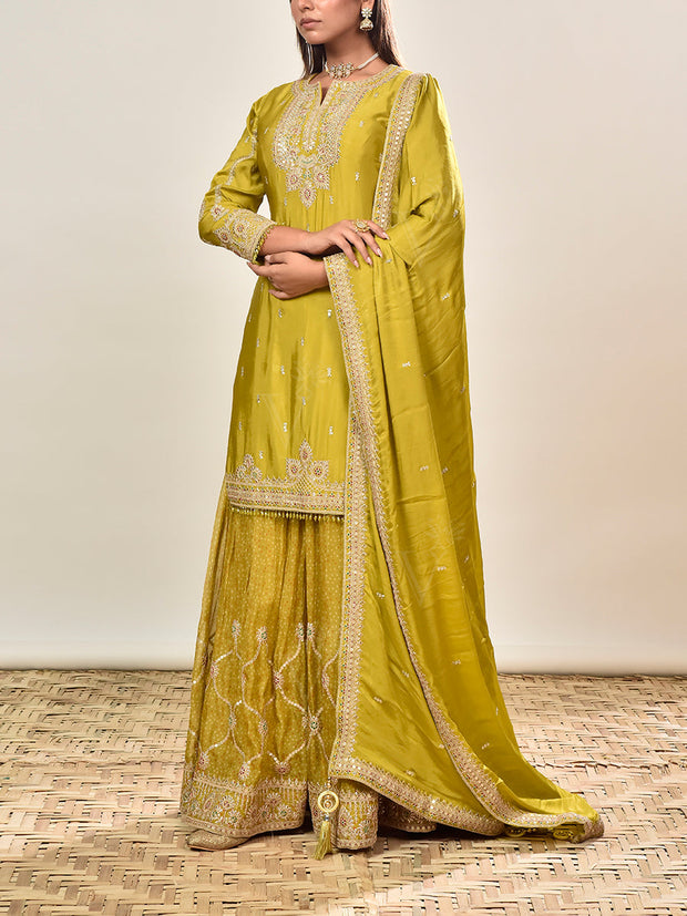 Green Embroidered Wrinkle Crepe Kurta and Garara Set
