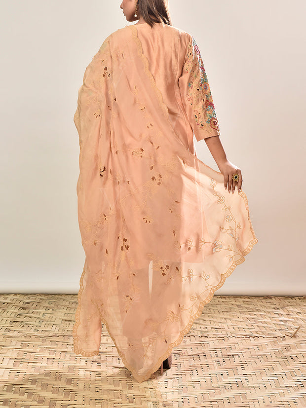 Beige Chanderi Silk Embroidered Suit Set