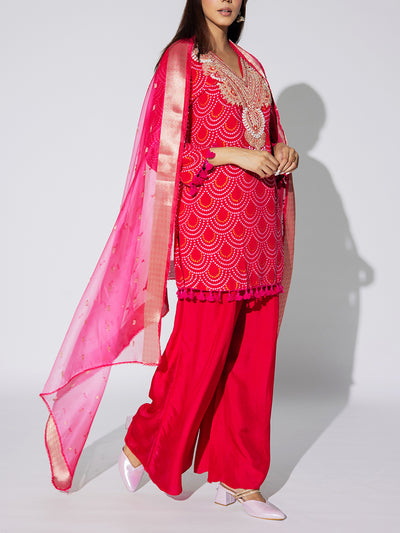 Pink Embroidered Georgette Suit