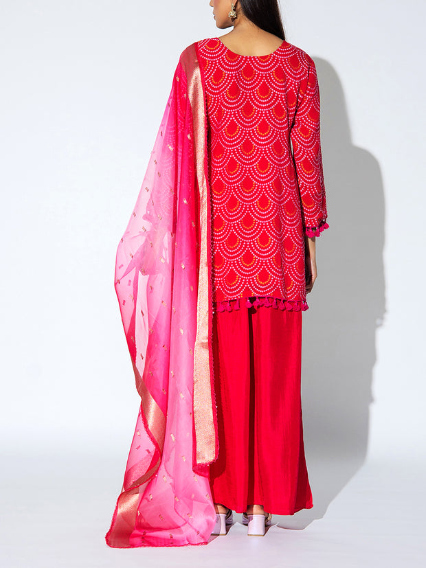 Pink Embroidered Georgette Suit