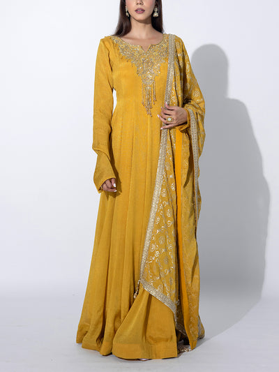 Mustard Tissue Embroidered Gown