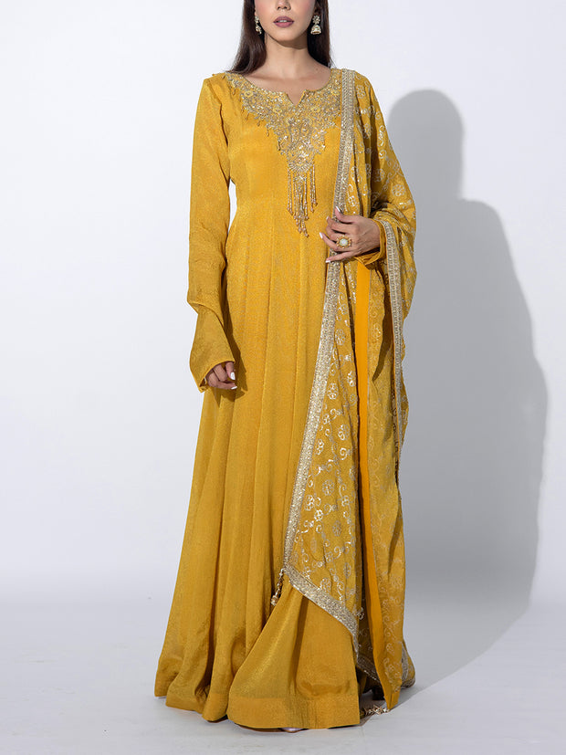 Mustard Tissue Embroidered Gown