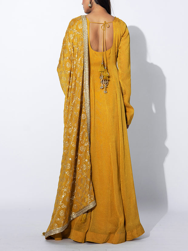 Mustard Tissue Embroidered Gown