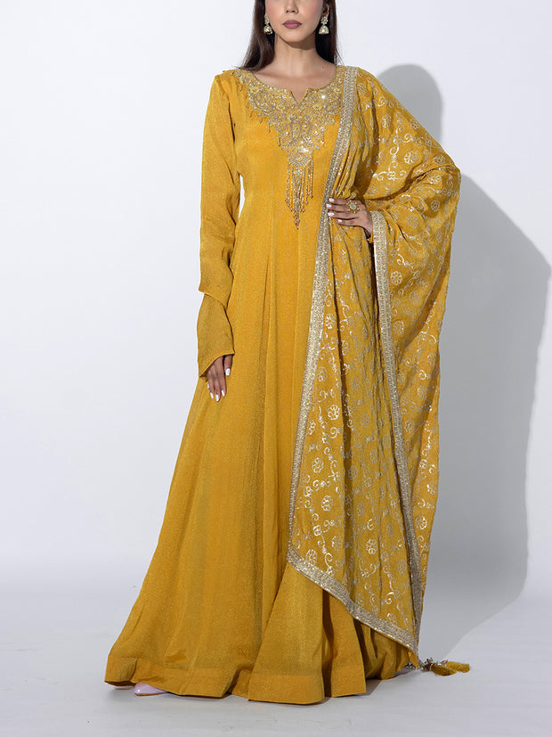 Mustard Tissue Embroidered Gown