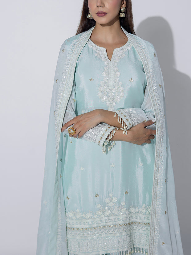 Powder Blue Embroidered Sharara Set