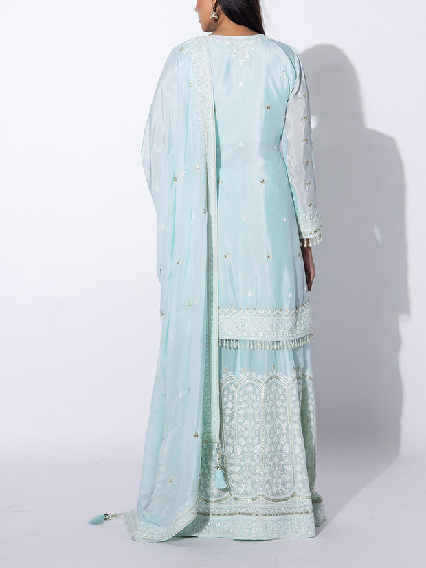 Powder Blue Embroidered Sharara Set