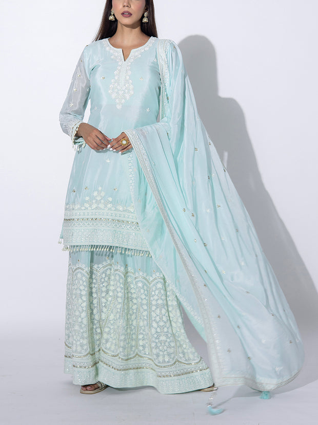 Powder Blue Embroidered Sharara Set