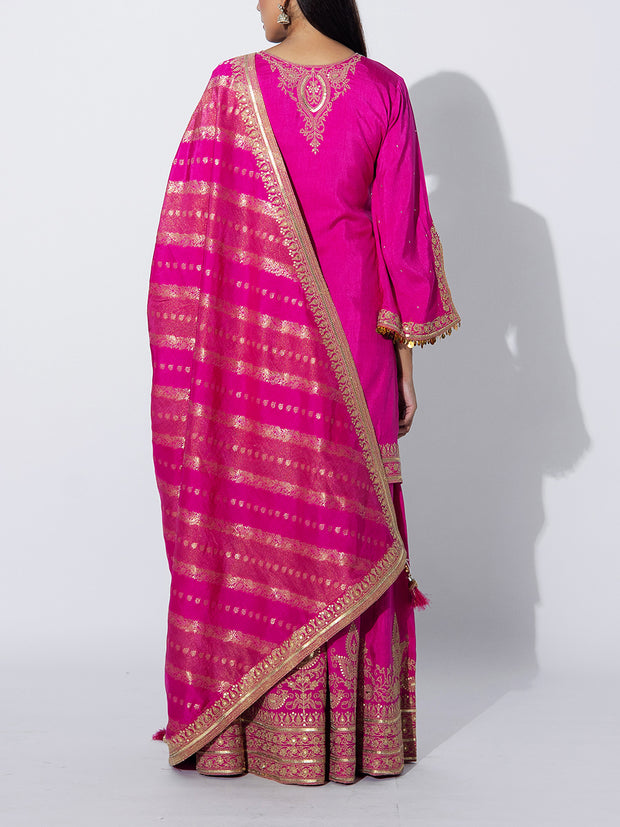 Rani Pink Embriodered Sharara Set