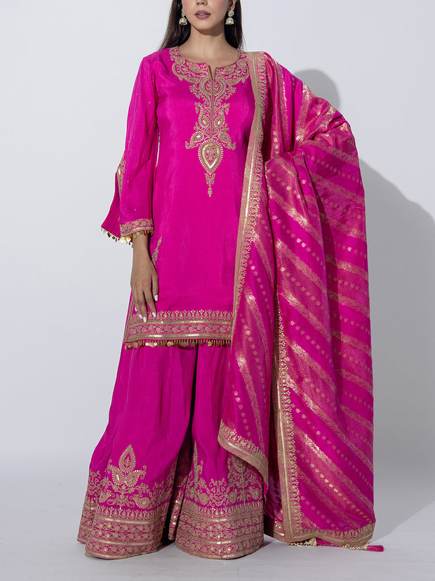 Rani Pink Embriodered Sharara Set