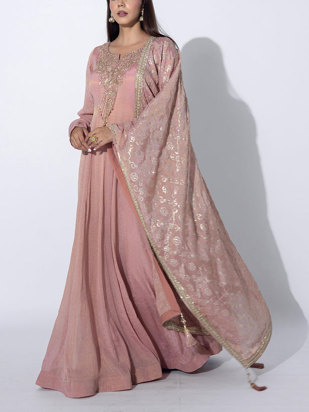 Light Pink  Tissue Embroidered Gown