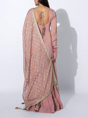 Light Pink  Tissue Embroidered Gown