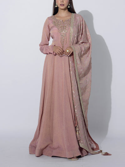 Light Pink  Tissue Embroidered Gown