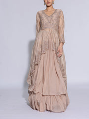 Beige Organza Embroidered Jacket and Skirt Set
