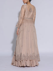 Beige Organza Embroidered Jacket and Skirt Set