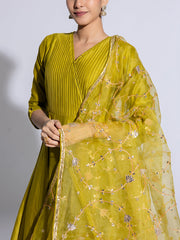 Mehendi Green Vasansi Silk Suit Set