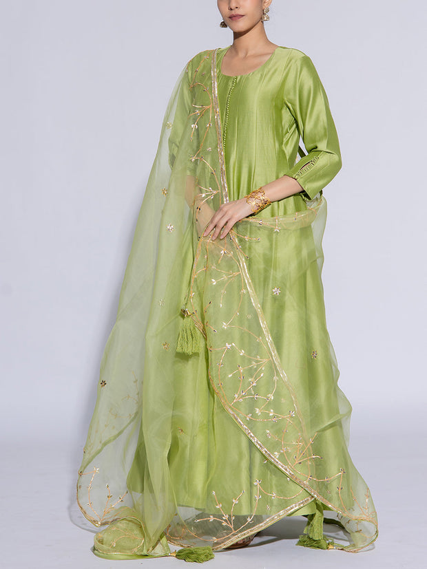 Light Green Vasansi Silk Suit Set