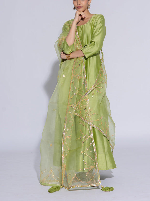 Light Green Vasansi Silk Suit Set