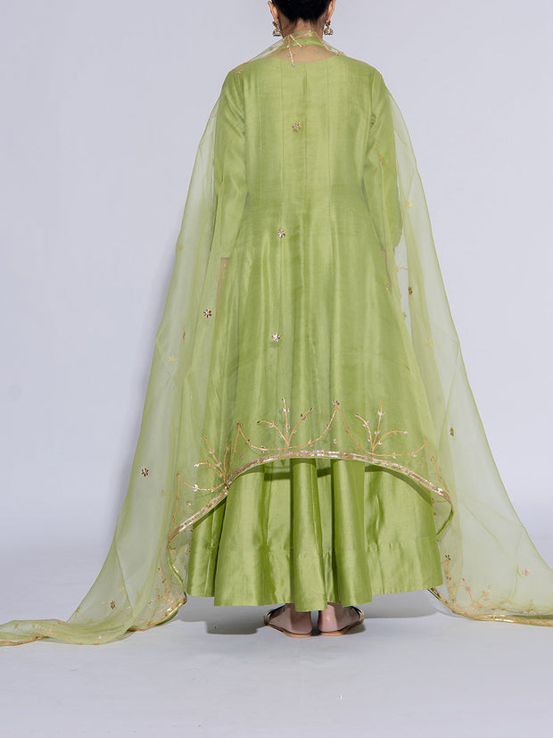 Light Green Vasansi Silk Suit Set