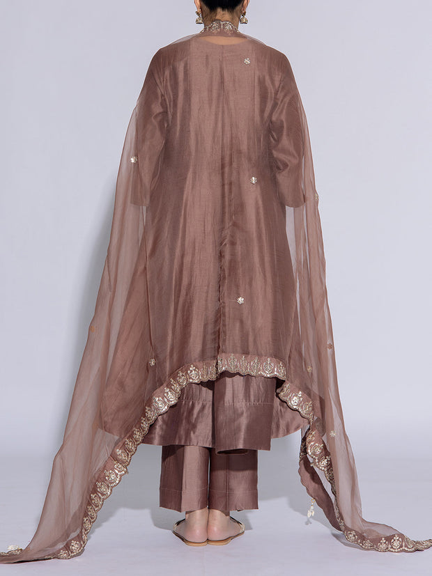 Brown Vasansi Silk Suit Set