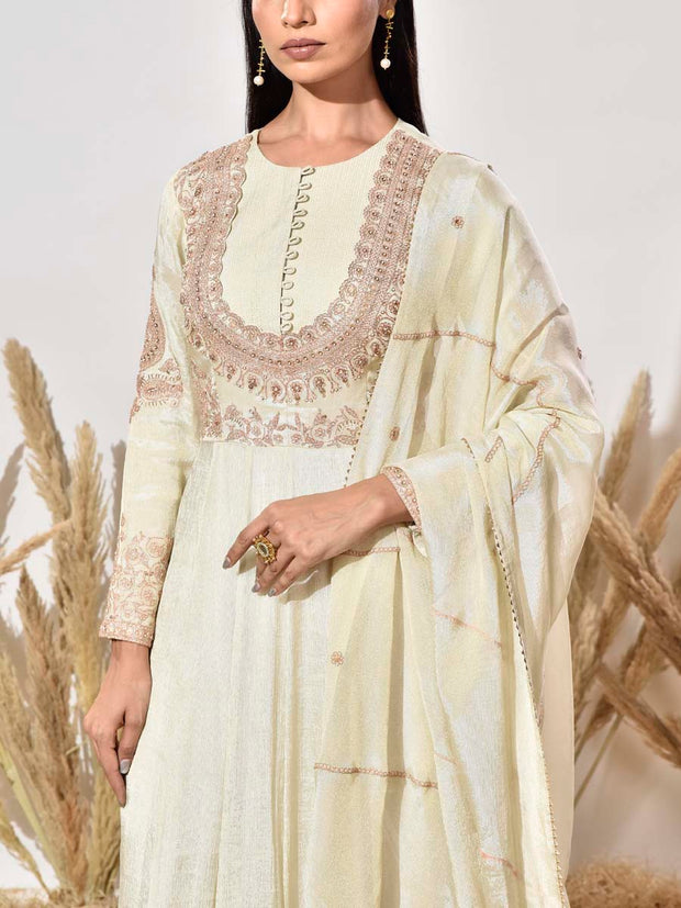 Ivory Tissue Embroidered Gown