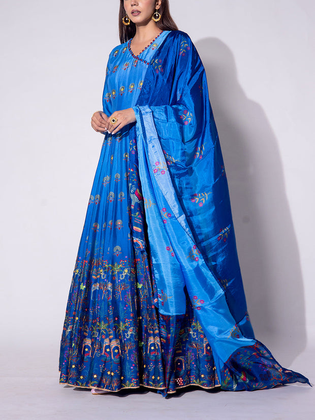 Blue Vasansi Silk Printed Anarkali Gown