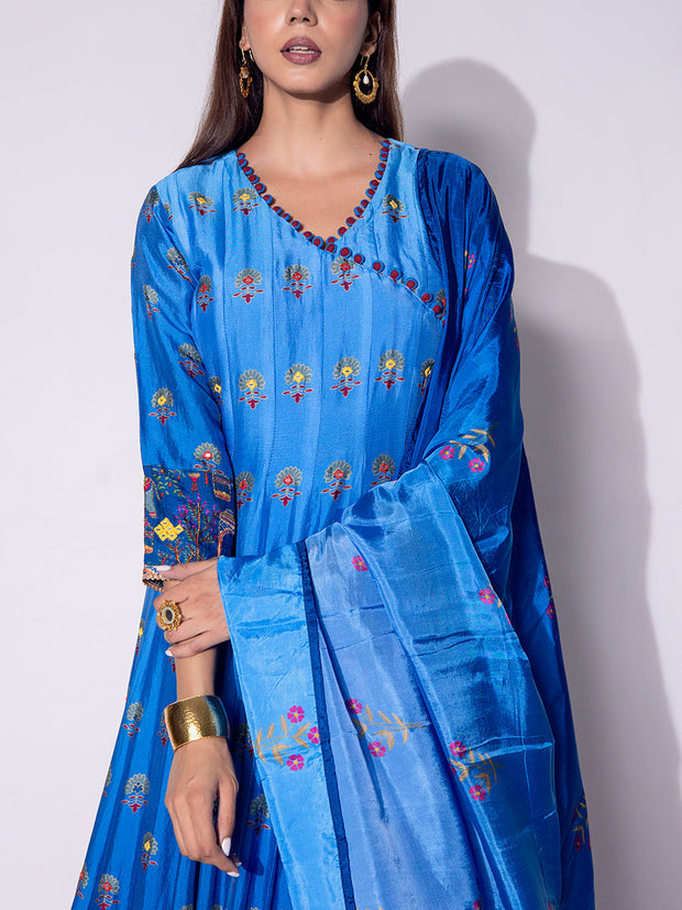 Blue Vasansi Silk Printed Anarkali Gown
