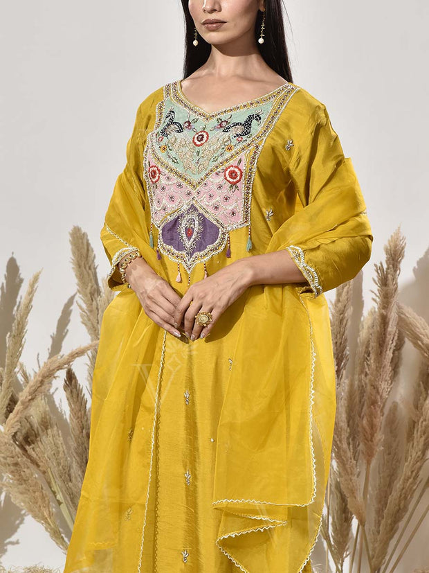 Yellow Embroidered Suit Set