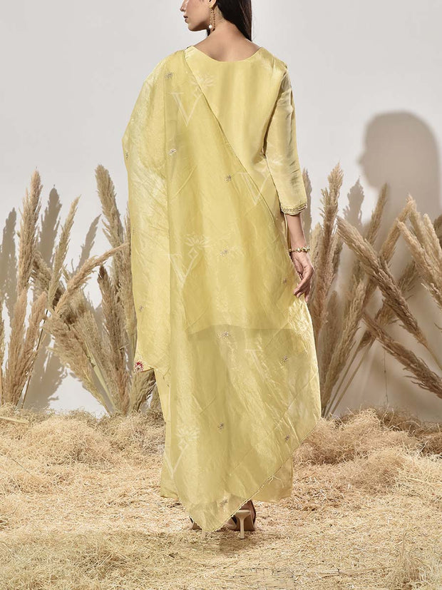 Yellow Embroidered Suit Set