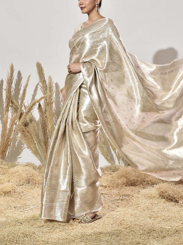 Beige Tissue Saree