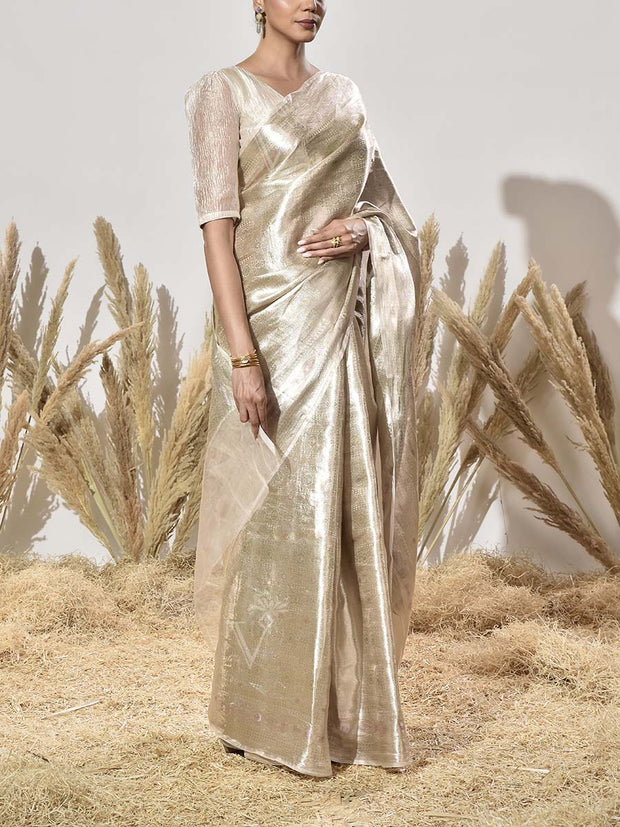 Beige Tissue Saree