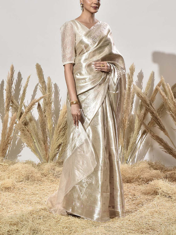 Beige Tissue Saree