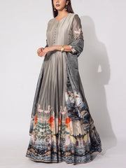 Grey Vasansi Silk Gown