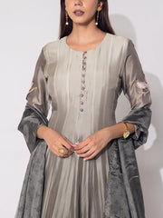 Grey Vasansi Silk Gown