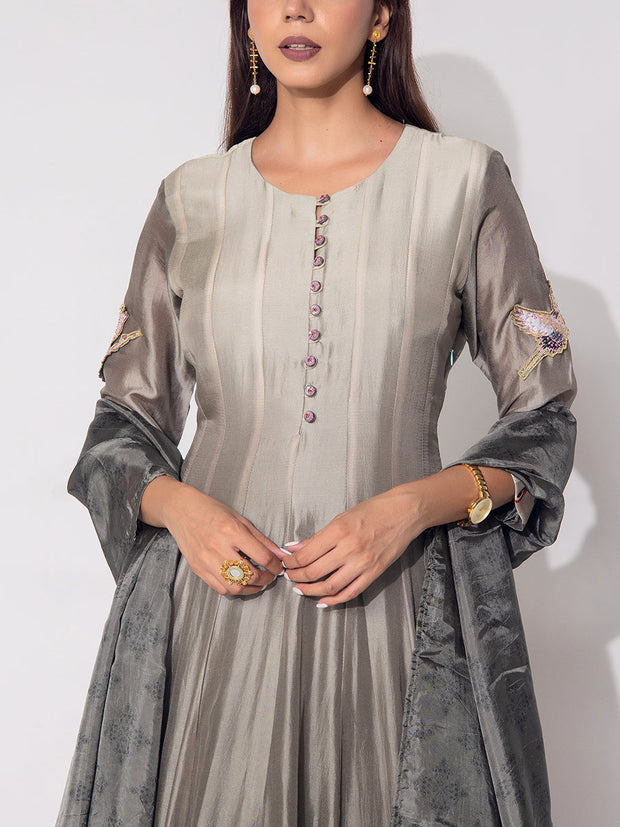 Grey Vasansi Silk Gown