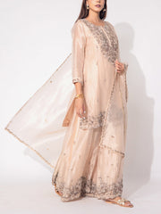 Peach Organza Tissue Suit Set