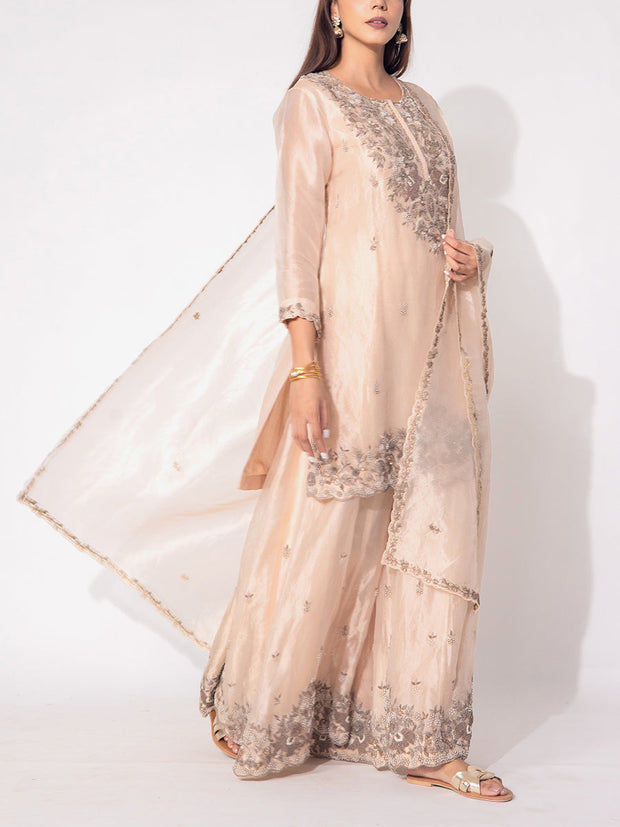 Peach Organza Tissue Suit Set