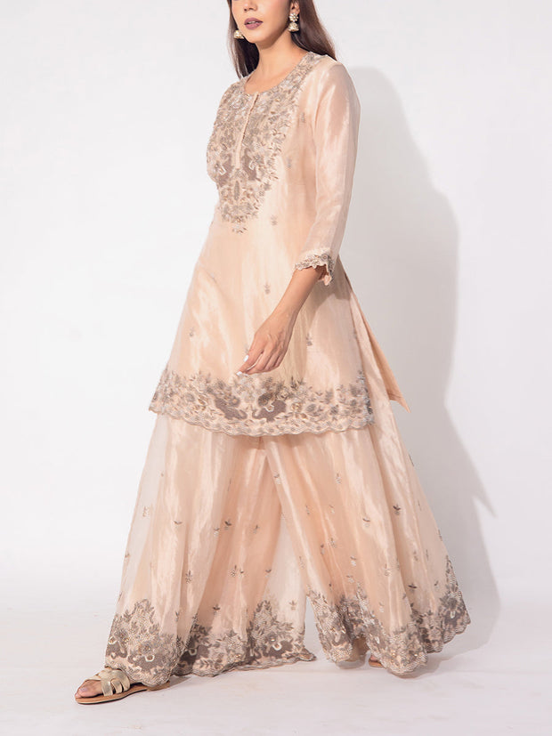 Peach Organza Tissue Suit Set