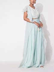 Powder Blue Organza Sharara Set