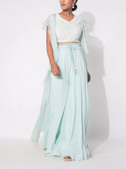 Powder Blue Organza Sharara Set