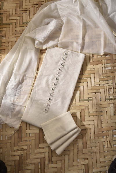 DD00, dropship, _label_Ready to Ship, STP