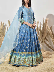 Blue Vasansi Silk Embroidered Gown