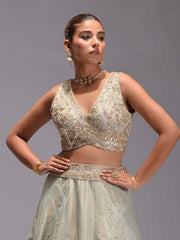Tea Green Tissue Lehenga  Set