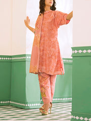 Pale Peach Vasansi Silk Co Ord Set