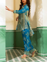 Sky Blue Vasansi Silk Co Ord Set